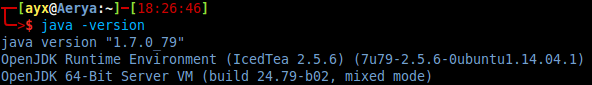 java -version