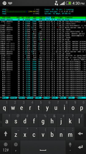 terminal