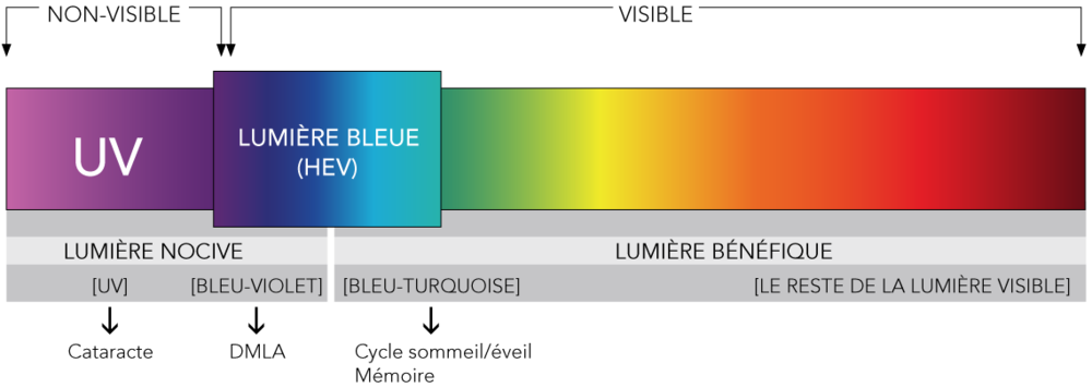 Visuel pris sur bleuenlumiere.com